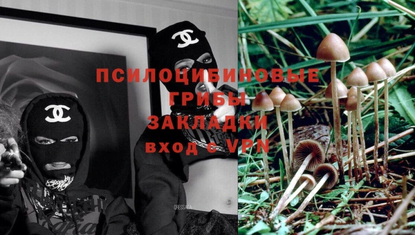 a pvp Белокуриха
