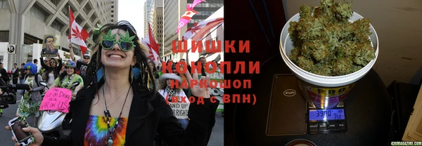 эйфоретик Покачи